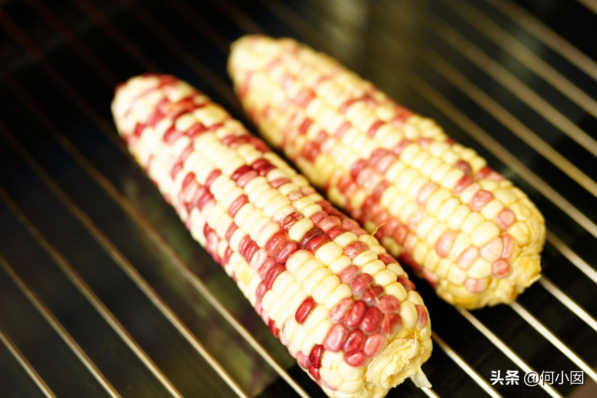 蒸烤箱新手入门必备菜谱,如何利用蒸烤箱做好一日三餐