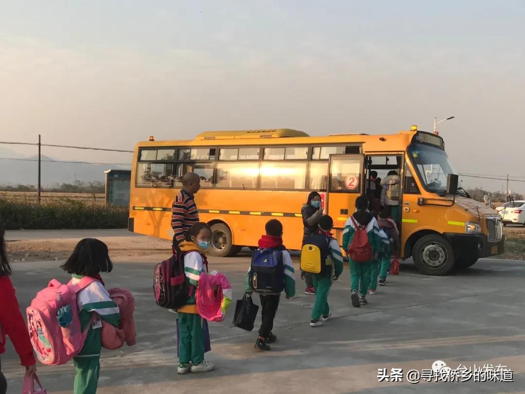 台山都斛小学怎么样,台山都斛小学老照片