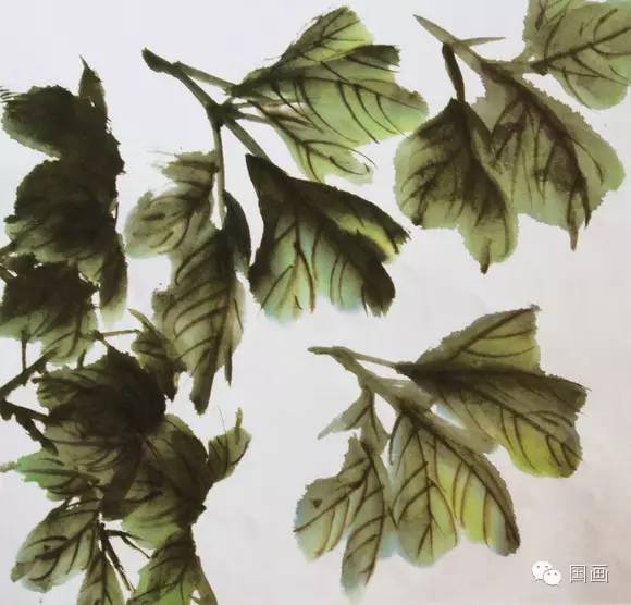 张克申写意牡丹画法教程,邵丹写意牡丹各阶段画法