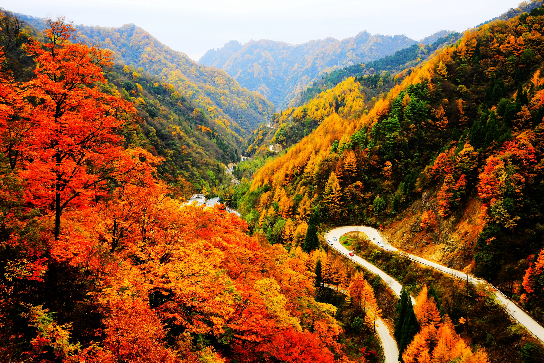 巴中光雾山红叶的最佳时间,红叶谷打卡地