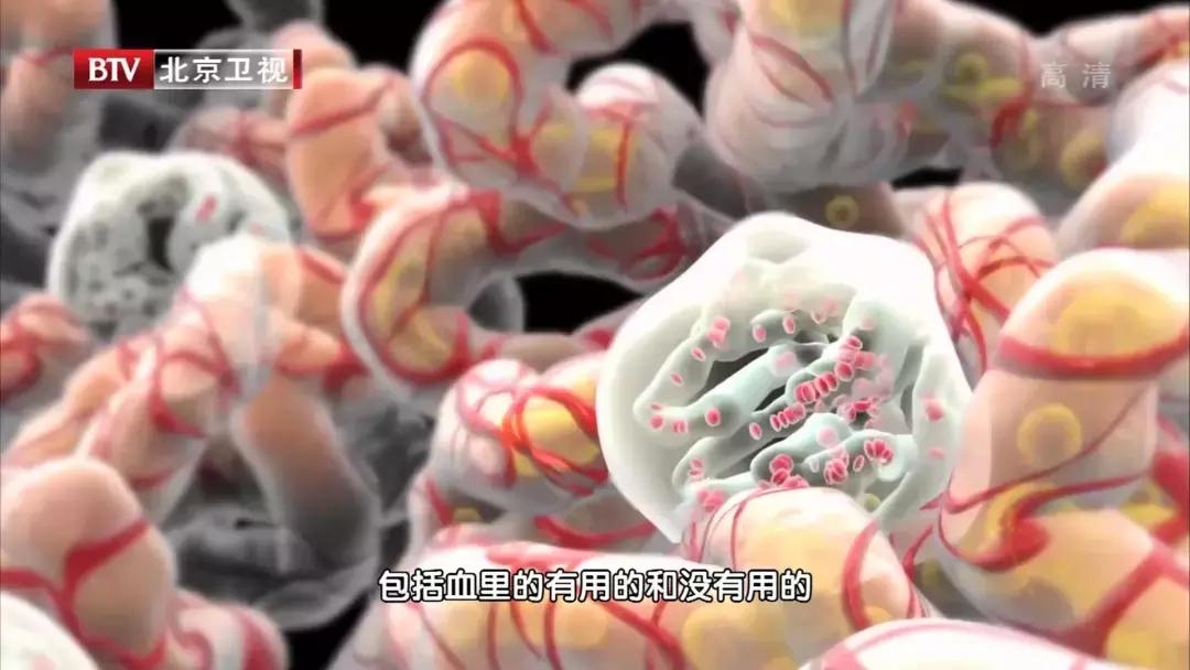 如何从尿液常规判断肾的健康状况,身体出现这几个症状时要警惕肾