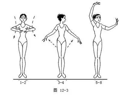 舞蹈基本功小课,舞蹈走步的动作与节奏