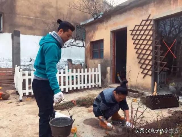 怎么打造低成本花园,怎么用几十元造花园