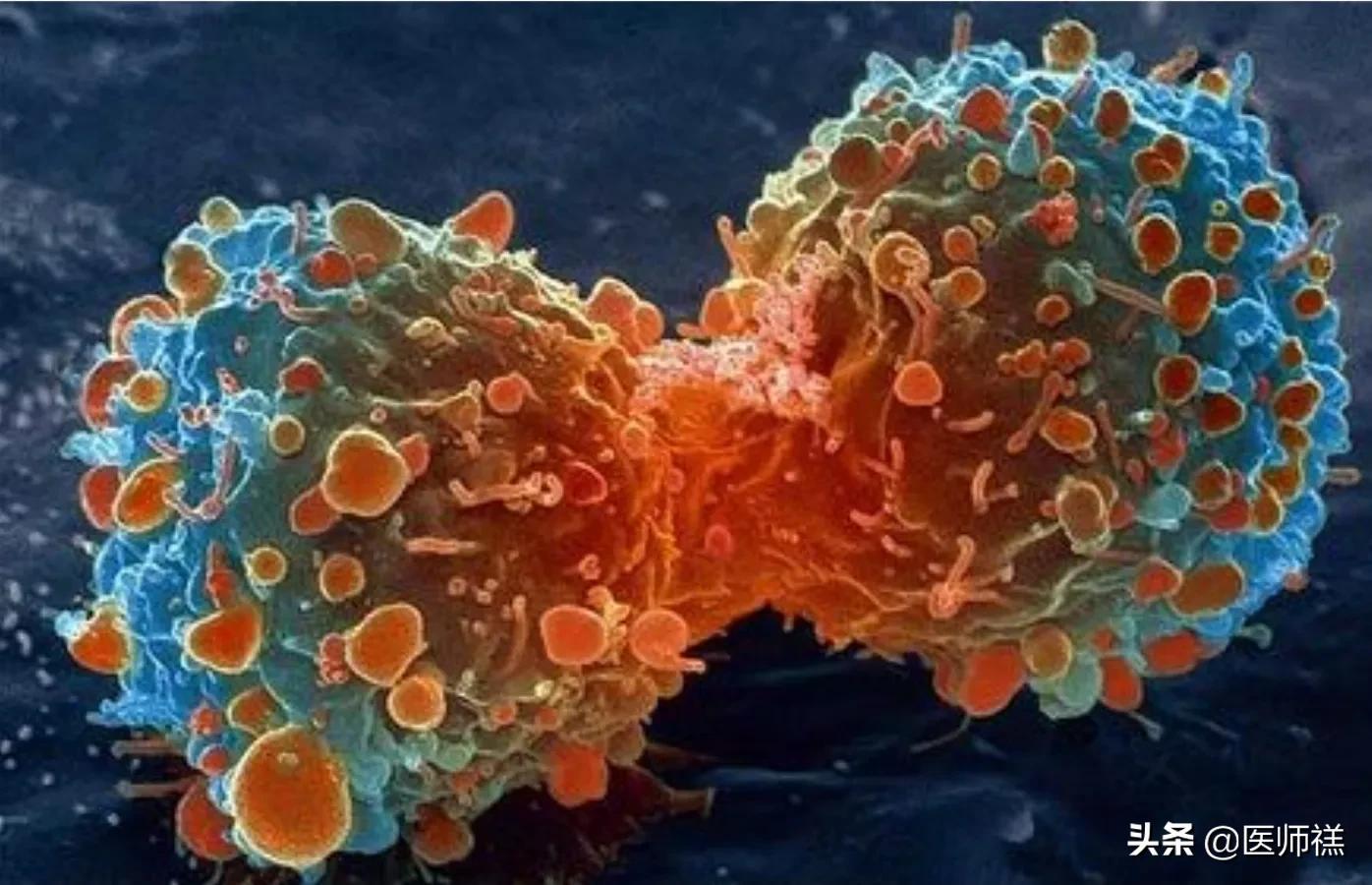 食物中的农药残留有哪些,哪些东西是农药残留的食物