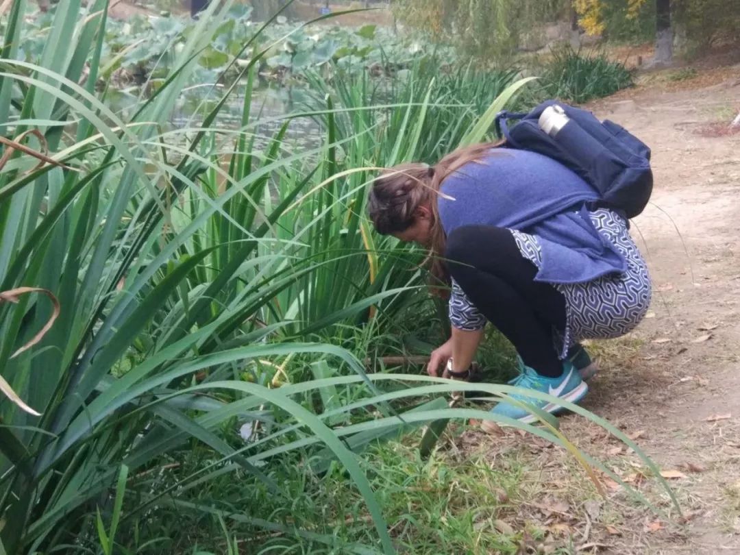 错过第二期北纬45°自然教育国际工作坊不要紧，满满的干货在这里