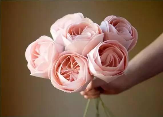 这才是世界上最贵的花卉,君子兰最便宜的花卉