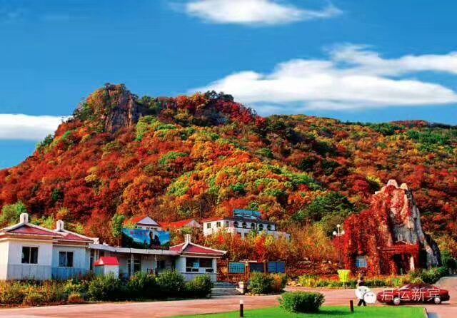 猴石国家森林公园的最佳旅游季节,猴石国家森林公园航拍