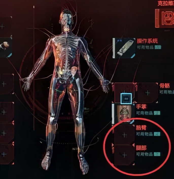 中国为什么没有环国赛,为什么赛博朋克注册显示没有网络