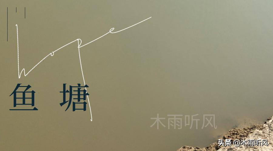 气温高鱼翻塘怎么处理,养鱼氨超标如何处理