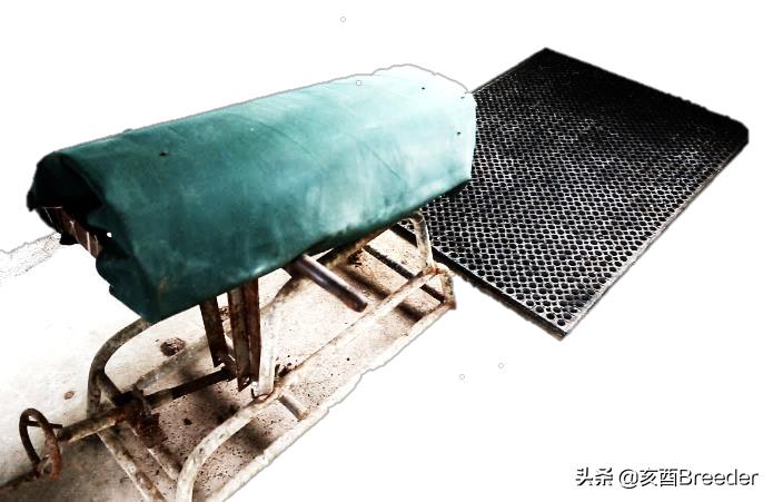 猪人工采集方法全过程,猪人工采卵过程