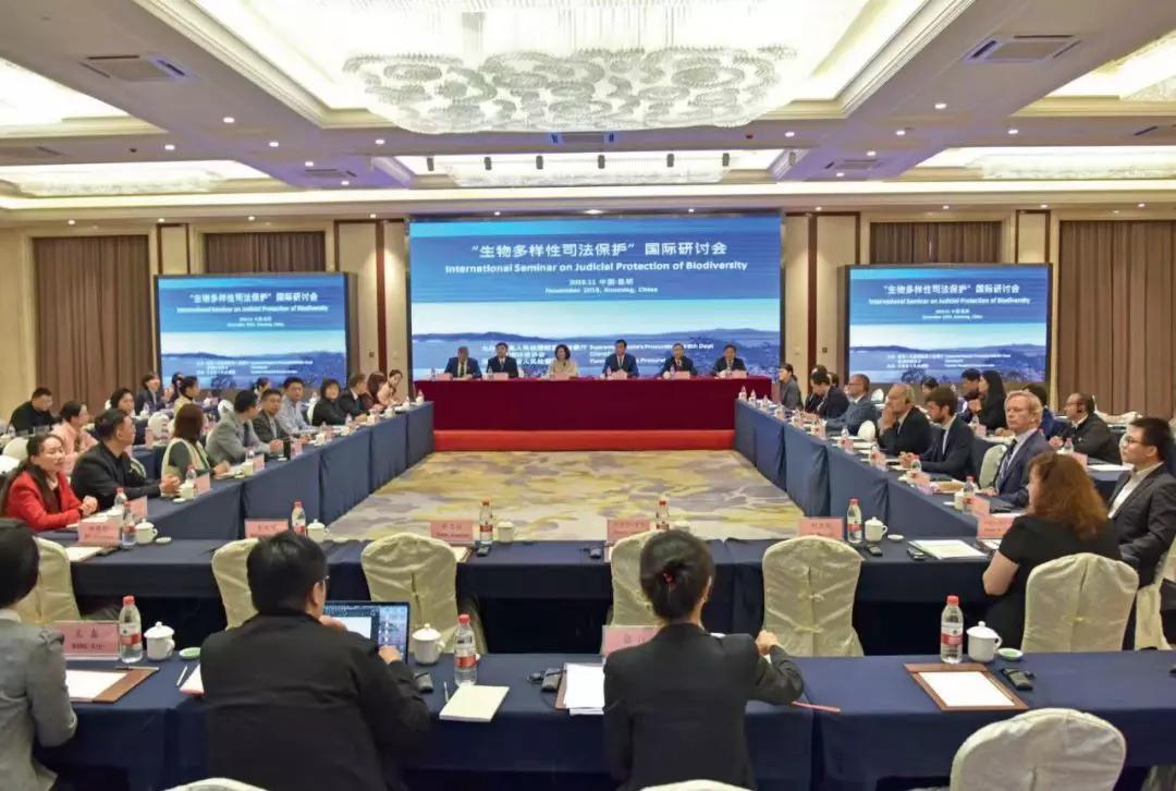 离野生动物远一点！检察机关出手，保护生物多样性