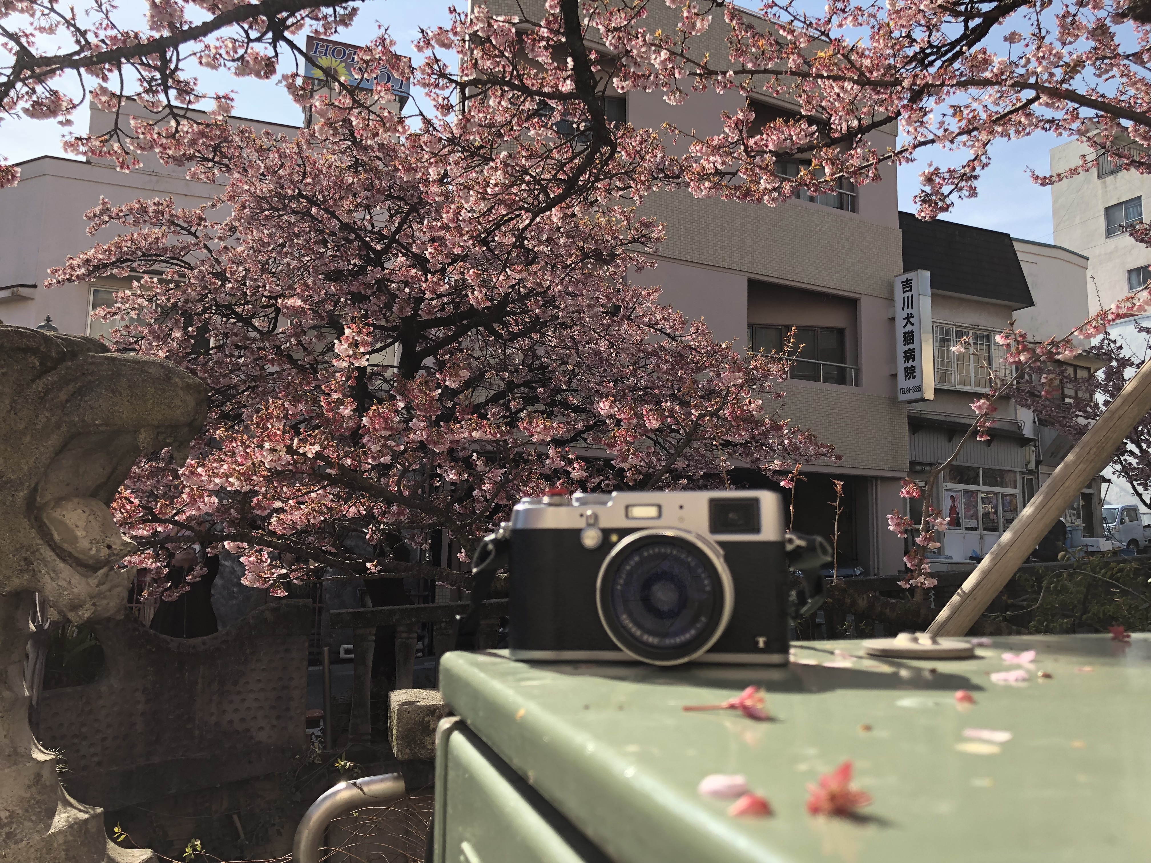 我在日本乡下的生活,我在日本乡下