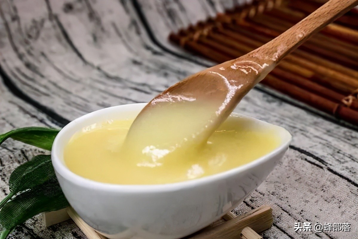 中华蜜蜂和意大利蜜蜂同区养,中国外来昆虫的危害及防治