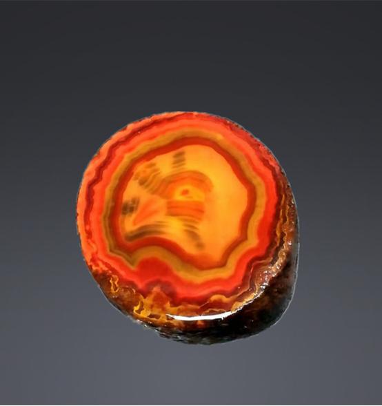 都是些什么“鸟石”？保证有你好看