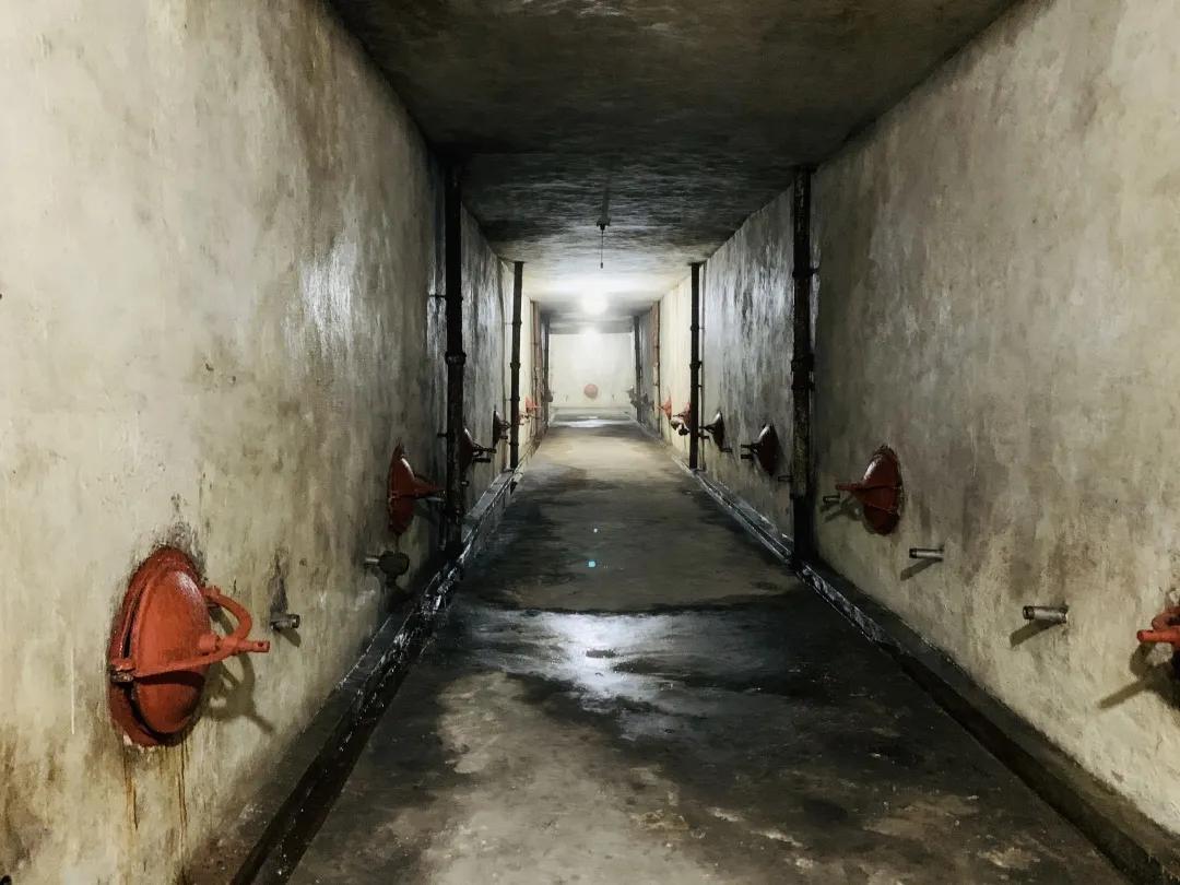 陕西丹凤葡萄酒厂西安总经销,渭南丹凤葡萄酒厂新闻报道