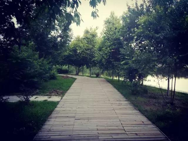 辽宁中医药大学杏林学院规模,辽宁中医学院杏林学院的排名