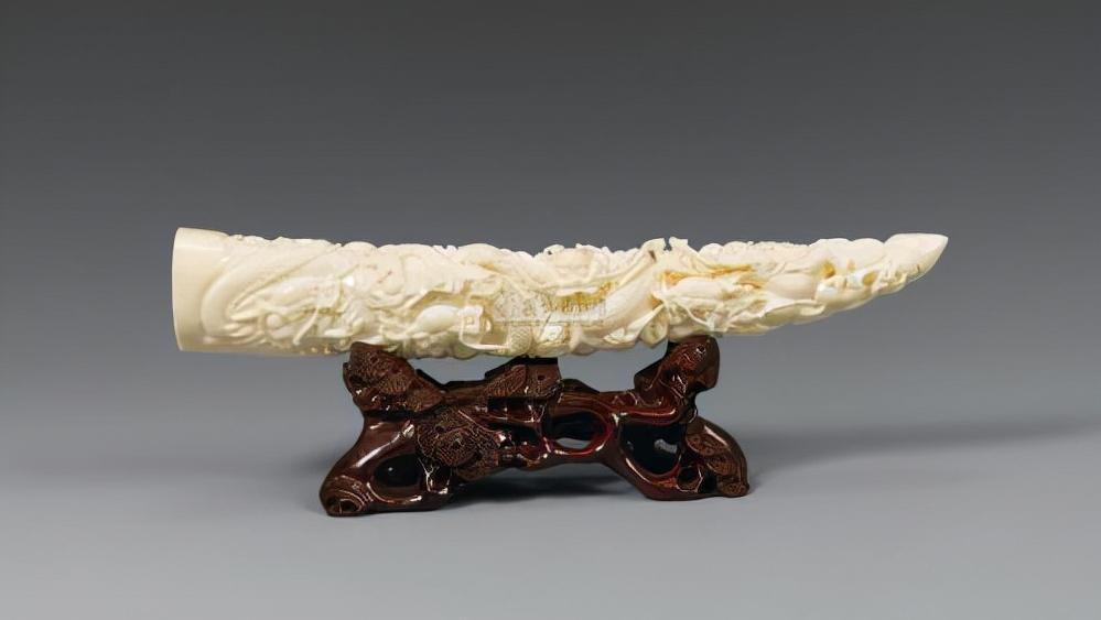 头骨最值钱鸟,头骨很珍贵的鸟