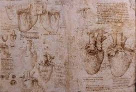 心形符号是什么东西,从象形字开始一直演变的过程