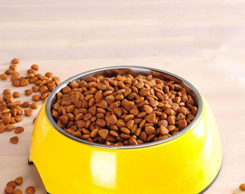 博美忽然就不爱喝水了怎么回事,博美不吃食精神不好