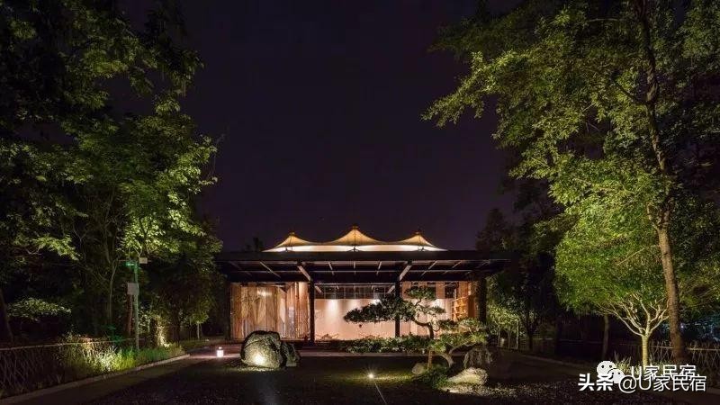 成都首家野奢帐篷酒店，高颜值避世野宿，帐篷听雨树屋观星