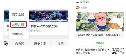 为什么海缸不建议用蛋分,海缸蛋分器正确摆放