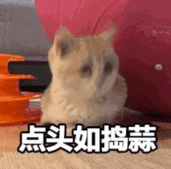 石河子适合1-2天短途旅游,石河子一日旅游攻略最新