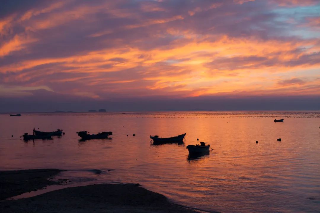 忽然想去旅游了,忽然想去宁波了