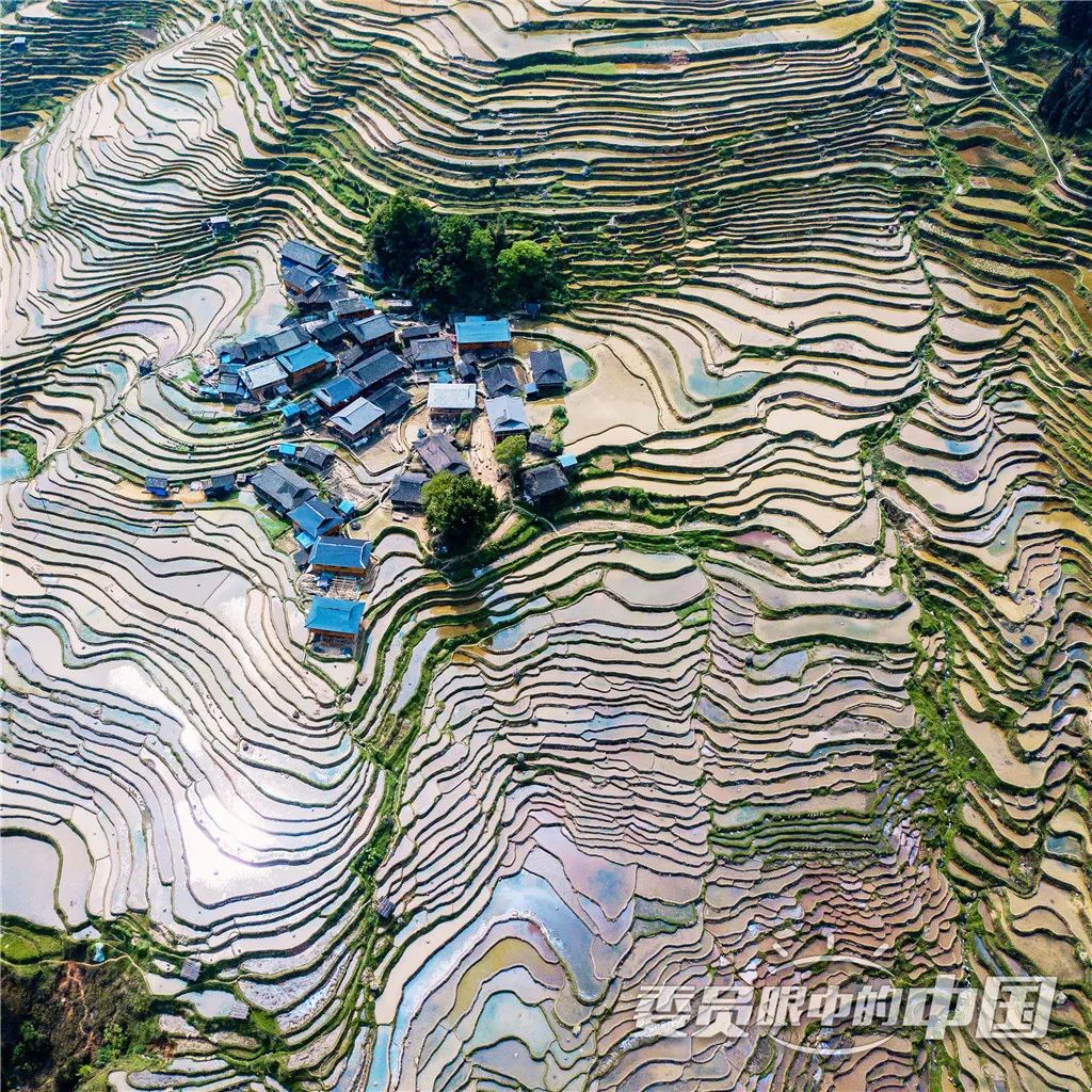 美丽中国中国篇,美丽中国双碳有我主题范文800字