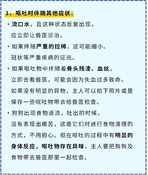 狗狗呕吐最快解决方法,狗狗呕吐严重怎么办吃什么药