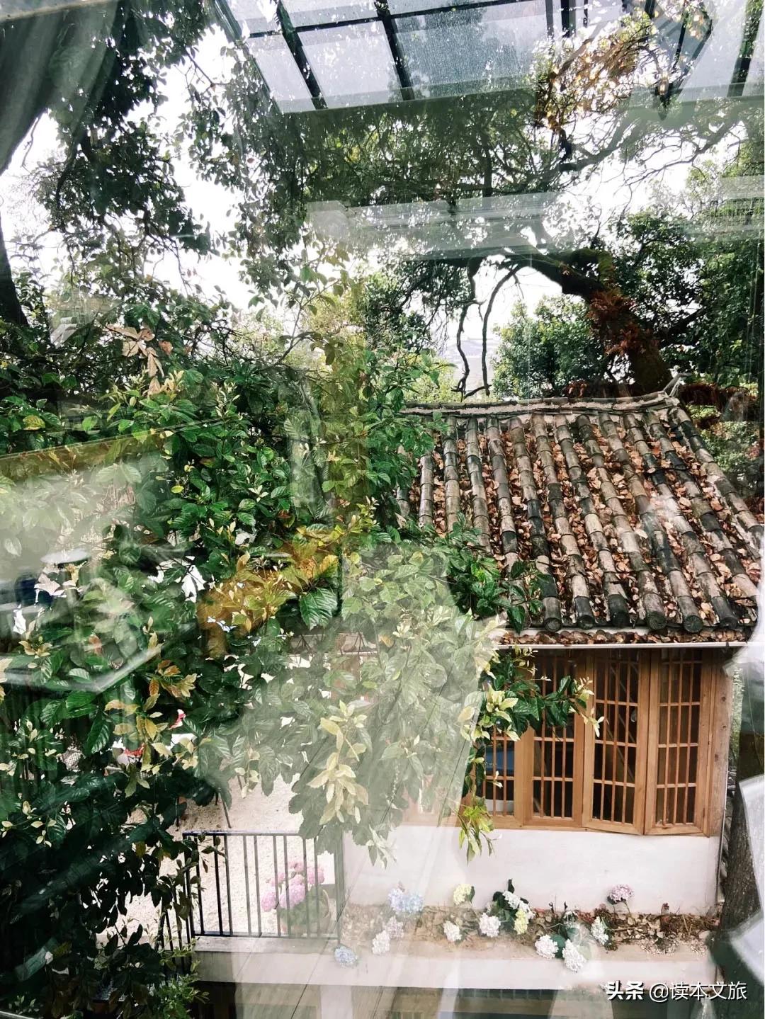 丽江10人民宿客栈推荐,丽江十大民宿酒店推荐图片