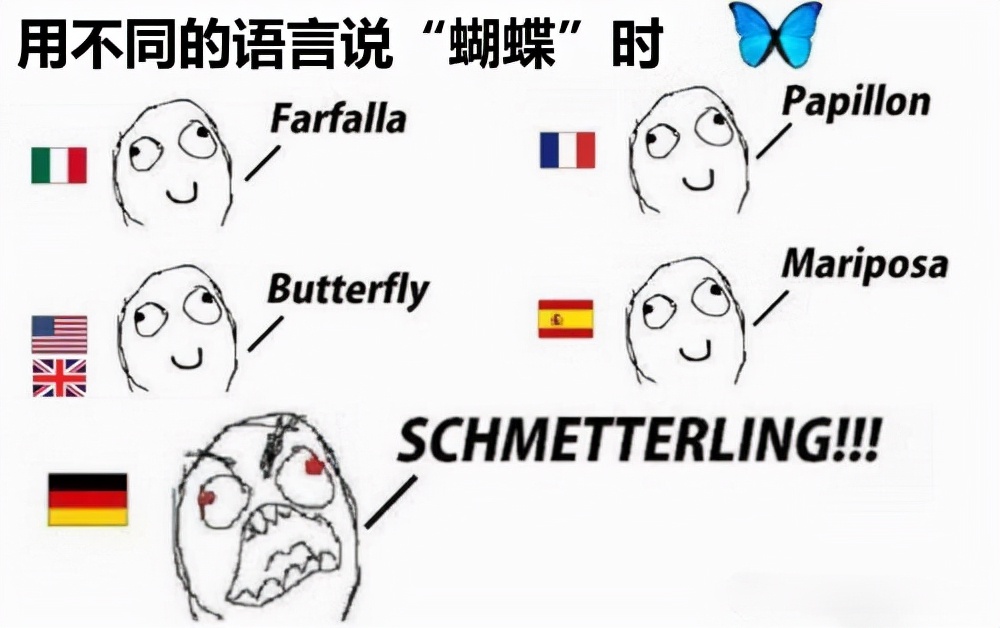 西班牙语意大利语交流,西班牙语和意大利语对话