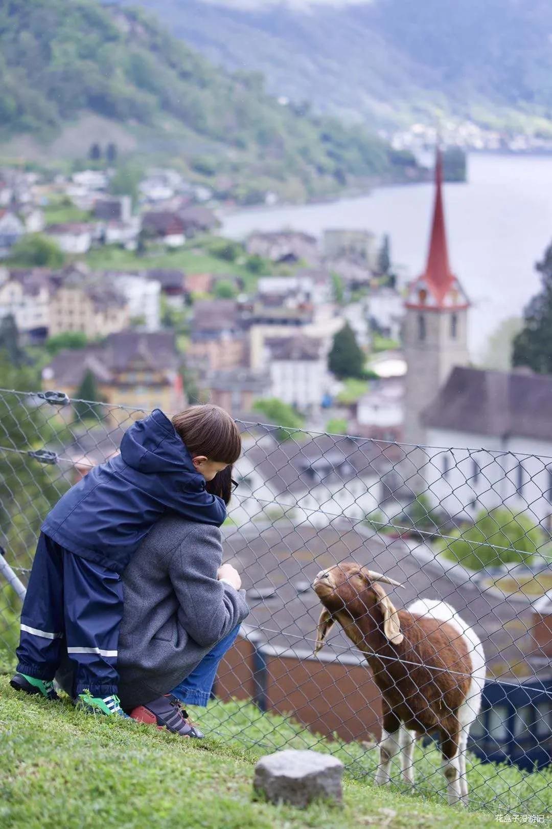 从慕尼黑到瑞士,从德国慕尼黑到瑞士