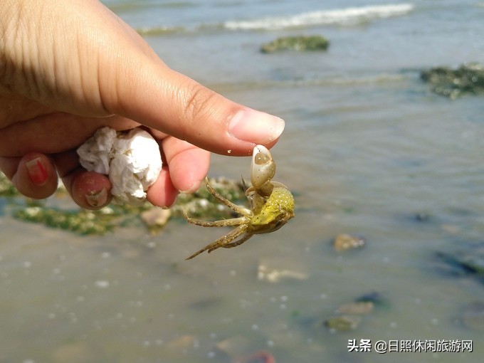 日照赶海之旅,日照冬季赶海旅游去哪里最好