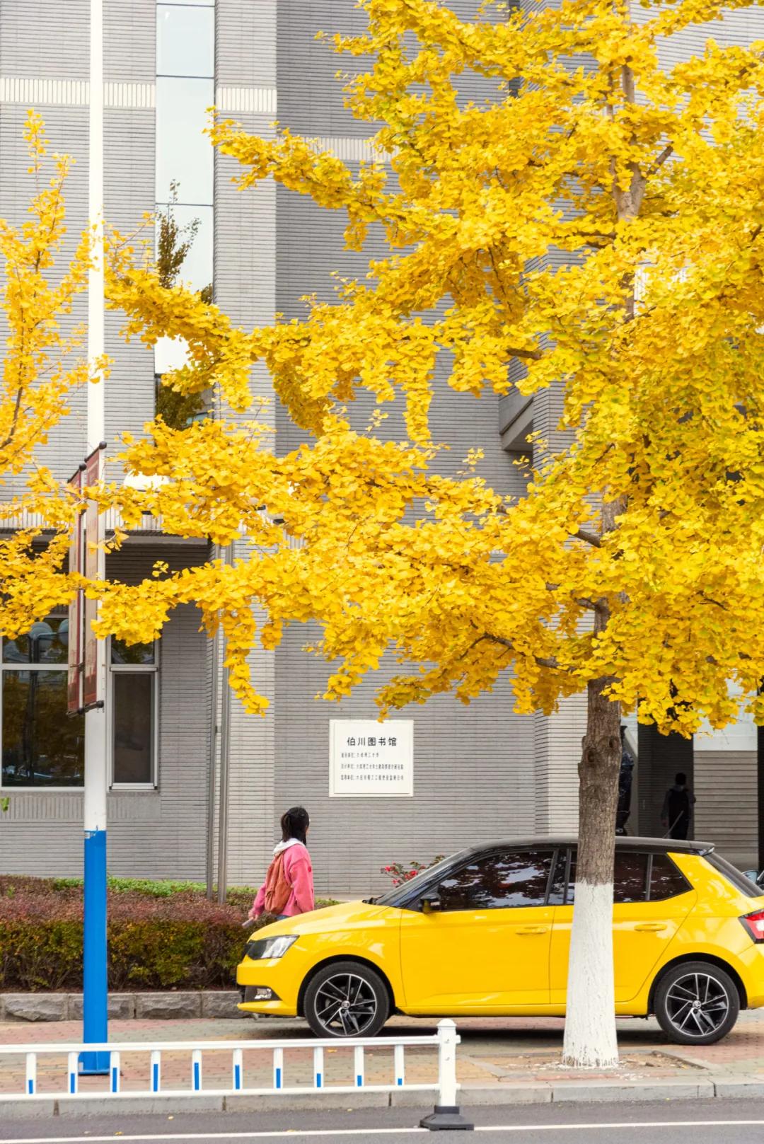 醉美大工秋|读书不觉已秋深，____________