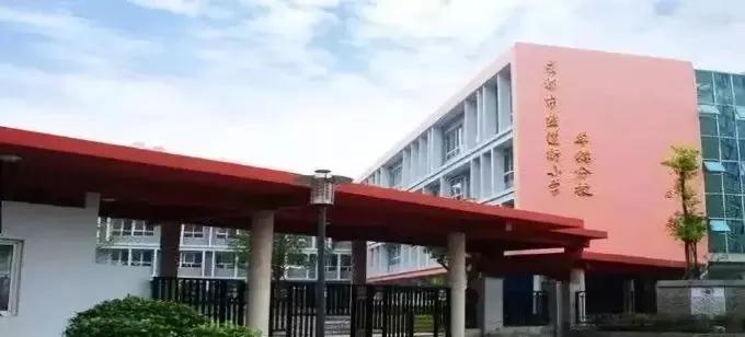 盐道街小学是五朵金花吗,五朵金花深度解析