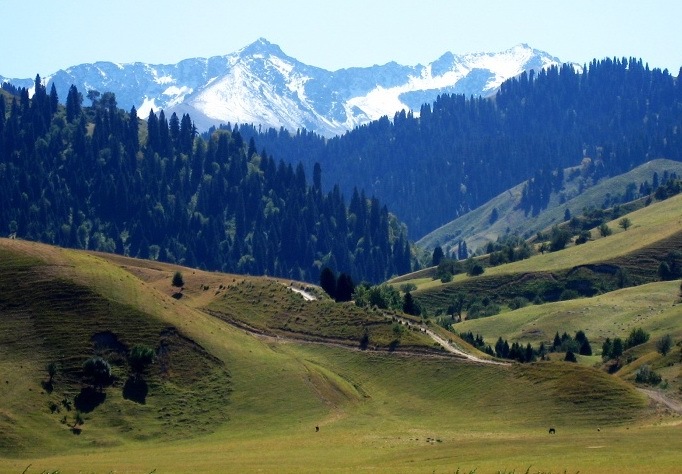 新疆世界遗产项目,世界自然遗产新疆天山