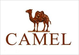 美国鞋业品牌大全，越后面的你越熟悉，个个都是大品牌！