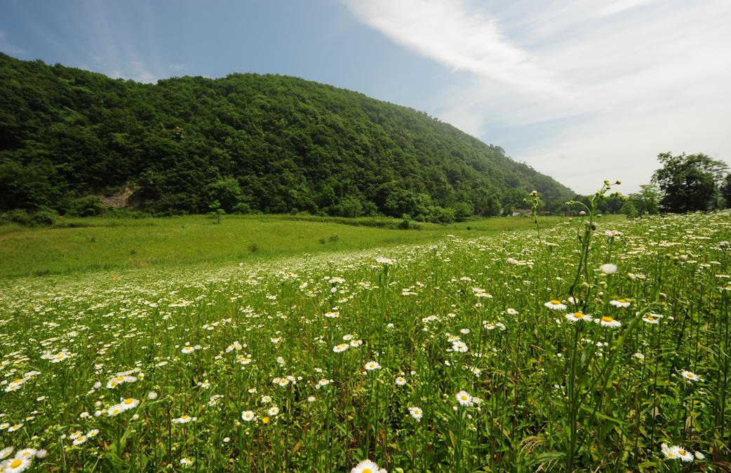 放假了，就去旬阳羊山吸氧、养心，洋洋自得拍“抖音”吧！