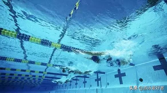 游泳教程快速让你成为游泳健将,游泳如何提高运动能力