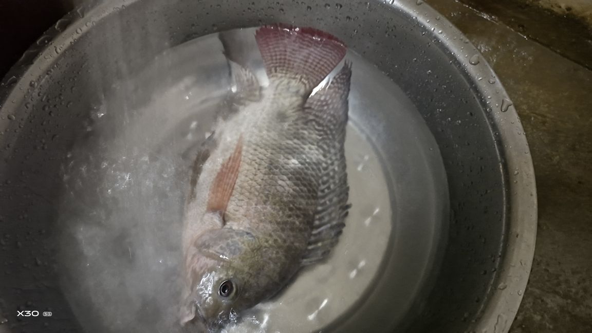 钓鱼的烦恼和处理方法,钓鱼上瘾了怎么办