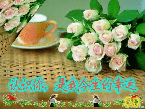 最美的早上好的问候语表情图,最美早晨问候祝福语图