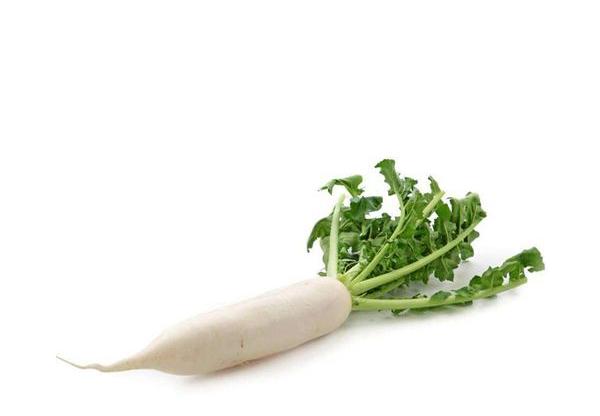 菩提大院美食大全,菩提大院