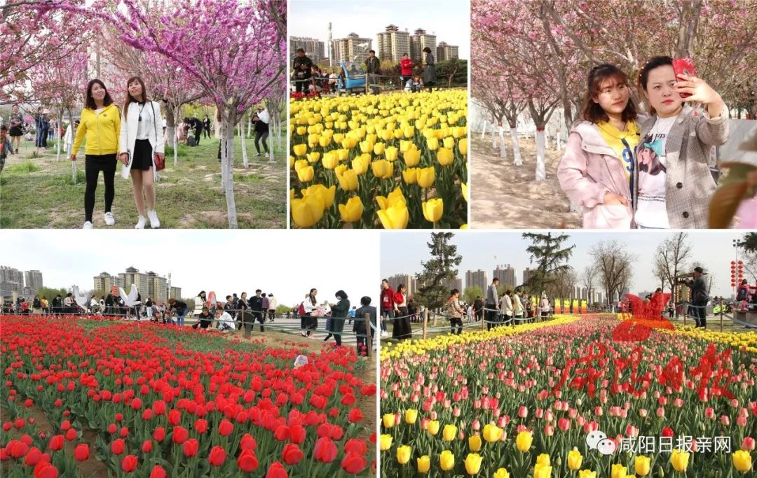 咸阳湖景区最新消息,咸阳拟新增4家3a级景区