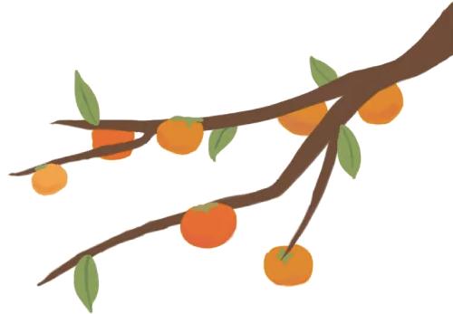 二十四节气课程立秋,二十四节气课程实施方案