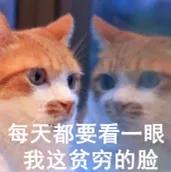 美妆集合店的东西怎么那么便宜,美妆集合店的东西真的都是正品吗