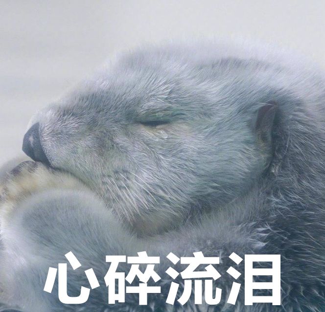 微信诈骗新套路有哪些,微信诈骗请警惕真实事情