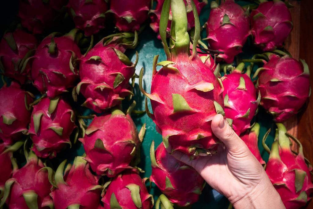 买火龙果黄心,买火龙果是买红色的还是白色的