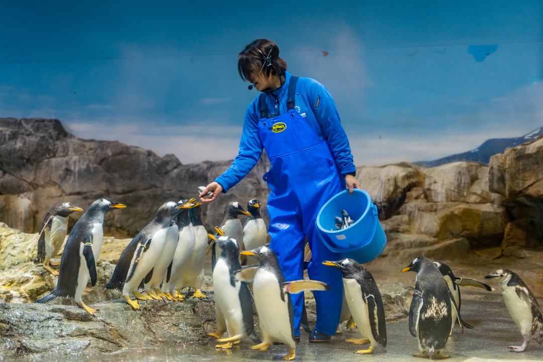 日本九州温泉城市,日本九州岛温泉