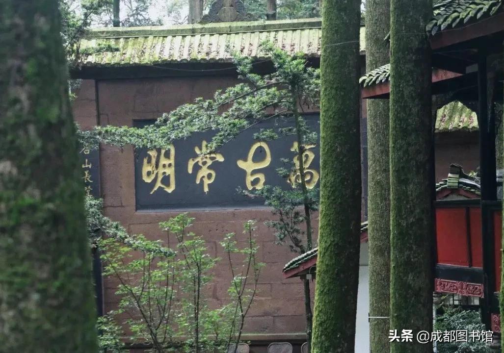 成图4月品牌活动到！快来赴一场*光春**之约