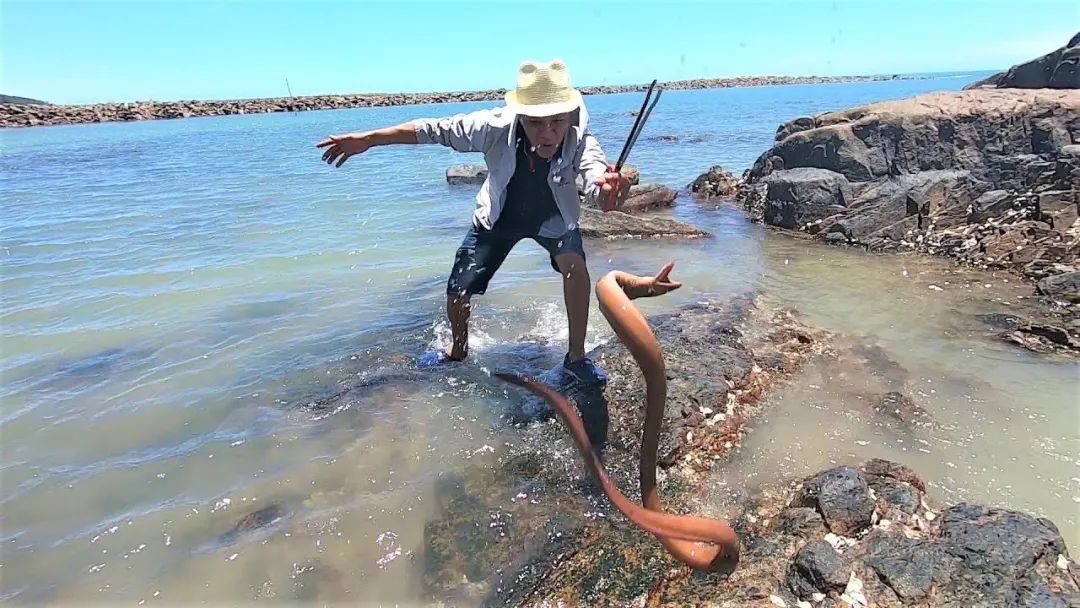 为何年轻人都在沉迷赶海视频,为什么大家都爱看赶海